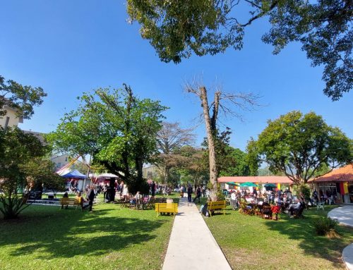 Domingo no CECREI reúne comunidade em momentos de espiritualidade, convivência e contato com a natureza